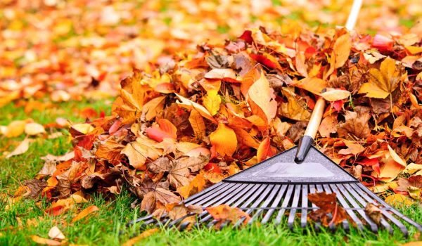 fall-yard-cleanup-important-for-lawn-garden-getty-0923-a52f9e8c61134458b40f5ffef72d3e2b