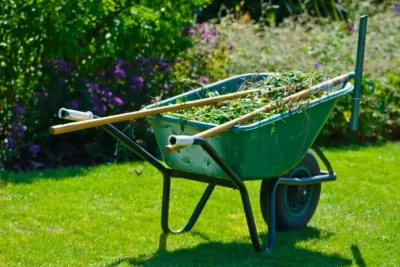 guy-spring-cleanup-hero